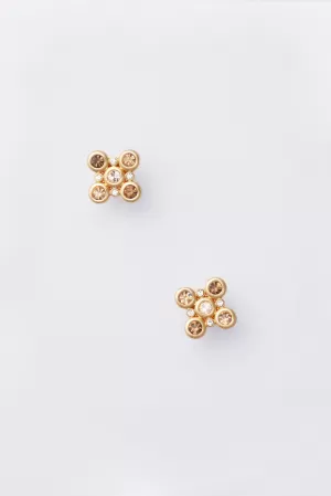 Chestnut Emi Studs