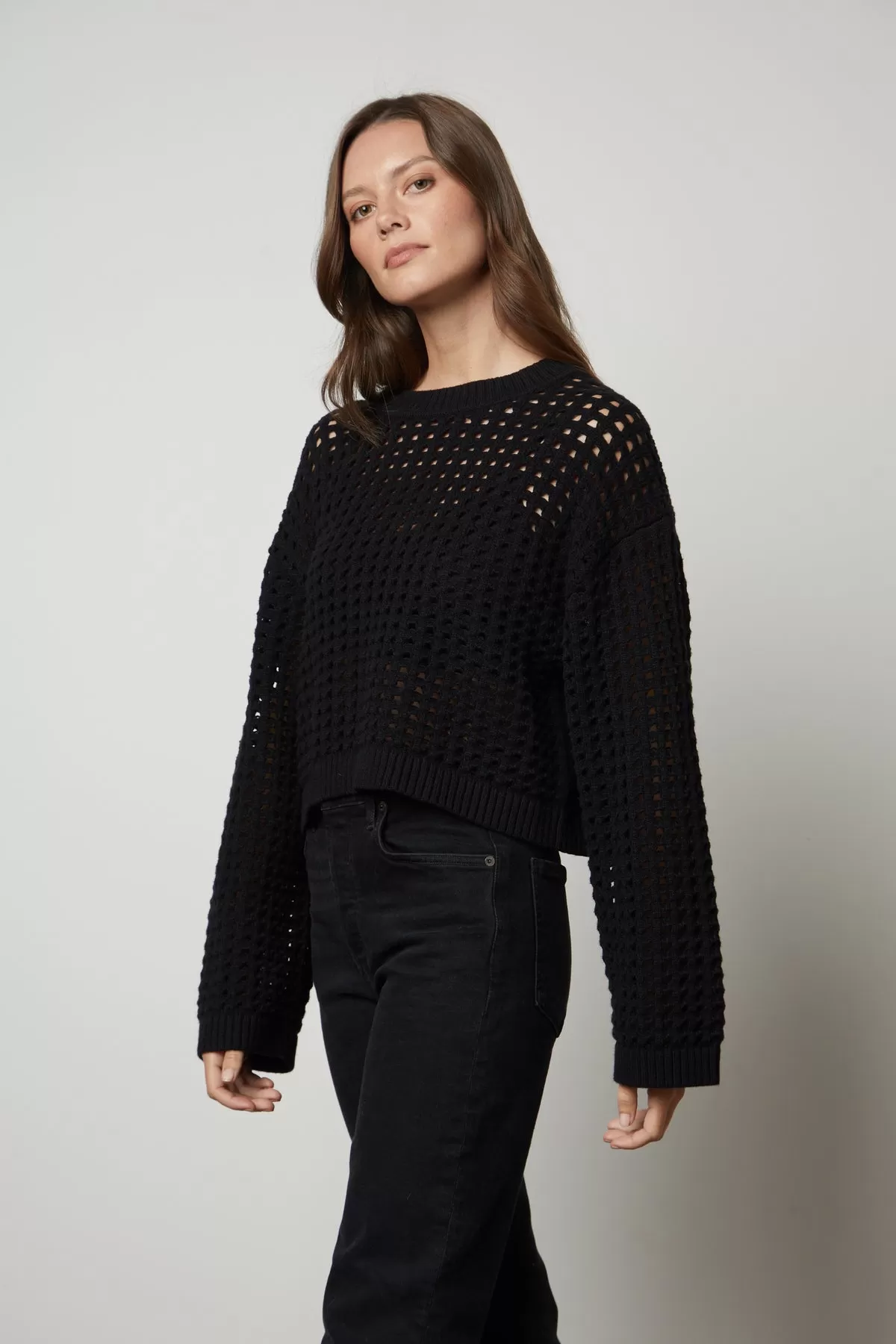 SAMMIE MESH KNIT CREW NECK SWEATER